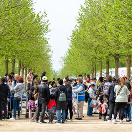 Samedi 6 avril, il n'y avait pas une mais 2 chasses aux œufs à Villejuif: la Chasse aux œufs solidaire du Secours Populaire, dans le parc des Hautes-Bruyères, avec des animations et jeux pour tous toute la journée, avec la participation de la Ludomobile.La chasse aux œufs dans le jardin partagé de la résidence Botanic Parc, un moment de rencontre et d'échanges entre voisins et de découverte du jardin pour certains. [photos Xiwen Wang / Alex Bonnemaison]