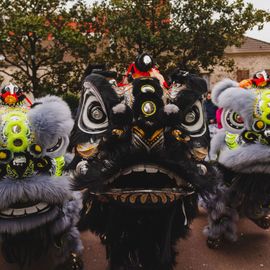 Un mois de janvier ponctué de festivités internationales: > Nouvel an berbère à la MPT Gérard Philipe avec poésie, musique, débats... permettant de mettre en valeurs les cultures Touarègue et berbère.> Nouvel an chinois et vietnamien dans le centre-ville organisé par la Pharmacie de la Mairie avec une superbe Danse du dragon> Nouvel an vietnamien à la MPT Gérard-Philipe avec spectacles, danses, arts martiaux, gastronomie... organisé par l’association Hoa Hiep Vong Tay Nhan Ai.[Photos Xiwen Wang]