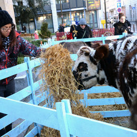 Marché gourmand, mini-ferme, ateliers cuisine et visite du Père Noël.