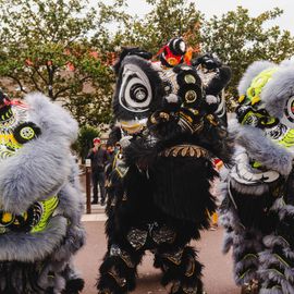 Un mois de janvier ponctué de festivités internationales: > Nouvel an berbère à la MPT Gérard Philipe avec poésie, musique, débats... permettant de mettre en valeurs les cultures Touarègue et berbère.> Nouvel an chinois et vietnamien dans le centre-ville organisé par la Pharmacie de la Mairie avec une superbe Danse du dragon> Nouvel an vietnamien à la MPT Gérard-Philipe avec spectacles, danses, arts martiaux, gastronomie... organisé par l’association Hoa Hiep Vong Tay Nhan Ai.[Photos Xiwen Wang]