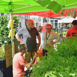 Le soleil au rendez-vous pour ce rendez-vous très apprécié des habitants, avec plus d’une trentaine de fleuristes, pépiniéristes et horticulteurs et de nombreux ateliers jardinage.