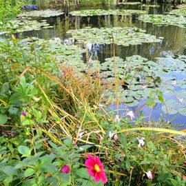 Les Seniors villejuifois à la découverte de Giverny : la fondation Claude Monet, son manoir normand et ses jardins, avant un déjeuner-dansant au Moulin de Fourges.