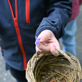 Retour en images sur ces 2 semaines de vacances de printemps, avec notamment la chasse aux œufs du Secours populaire et celle des accueils de loisirs à la ferme urbaine, le Mois des cuisines du Monde et les activités jardinage, bricolage, cirque... dans les MPT. [Photos Direction de la Communication / Lucile Cubin / Xiwen Wang]