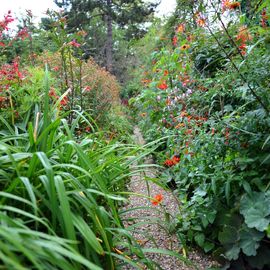 Les Seniors villejuifois à la découverte de Giverny : la fondation Claude Monet, son manoir normand et ses jardins, avant un déjeuner-dansant au Moulin de Fourges.