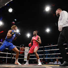 Déjà la 6e édition du Villejuif Boxing Show. Une soirée de qualité cette année encore avec des combats de haut niveau national et international en boxe anglaise et boxe pieds-poings. [photos Sylvie Grima / Lucile Cubin]