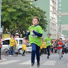 30e édition de la Corrida de Villejuif avec 2 courses adultes et 5 courses enfants.L'intégralité des photos des courses adultes sur https://t.co/T5aKXuC3KB