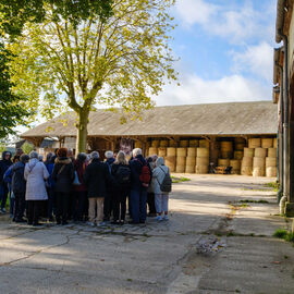 2 excursions étaient organisées pour nos seniors dans les Yvelines à la découverte à la Bergerie nationale de Rambouillet, sa ferme, ses élevages de moutons Mérinos élevés sur le site depuis 1786… Une visite agrémentée bien sûr d'un repas convivial en musique ![photos Sylvie Grima]
