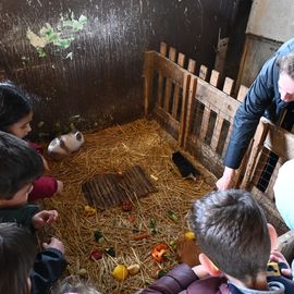 Zoom sur 3 activités enfance et jeunesse:▪️ Surf à Paris▪️ Initiation au pilotage de drones▪️ Sortie à la Ferme Pédagogique[Photos Alex Bonnemaison / Anja Simonet / Xiwen Wang]