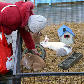 Marché gourmand, mini-ferme, ateliers cuisine et visite du Père Noël.