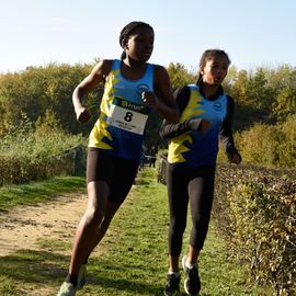 Dimanche 13 novembre, l'ASFI Villejuif Athlétisme organisait son 1er cross à destination des jeunes, au Parc Départemental des Hautes Bruyères. Pour cet évènement sportif, 17 clubs ont fait le déplacement avec plus de 500 athlètes âgé·e·s de 6 à 14 ans (catégorie Eveils à Minimes) ! [Photos Lucile Cubin]