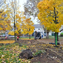 De l'automne 2021 au printemps 2022 le Parc Pablo Neruda va être complètement transformé: moins de béton, plus de verdure, des jeux modernisés...