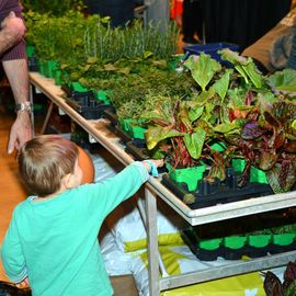 Le festival de l'alimentation et de la gastronomie pour les enfants. Des  producteurs... à l'assiette, bien manger et se dépenser : ateliers, démonstrations, dégustations...