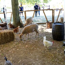 Le 1er village Villejuif respire 2022 s'est installé dans le parc des Hautes-Bruyères et dans la cité du Vercors, avec son lot d'animations et la fête du 13 juillet![Photos Lucile Cubin / Direction de la Communication]