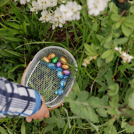 Samedi 6 avril, il n'y avait pas une mais 2 chasses aux œufs à Villejuif: la Chasse aux œufs solidaire du Secours Populaire, dans le parc des Hautes-Bruyères, avec des animations et jeux pour tous toute la journée, avec la participation de la Ludomobile.La chasse aux œufs dans le jardin partagé de la résidence Botanic Parc, un moment de rencontre et d'échanges entre voisins et de découverte du jardin pour certains. [photos Xiwen Wang / Alex Bonnemaison]