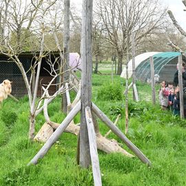 Zoom sur 3 activités enfance et jeunesse:▪️ Surf à Paris▪️ Initiation au pilotage de drones▪️ Sortie à la Ferme Pédagogique[Photos Alex Bonnemaison / Anja Simonet / Xiwen Wang]