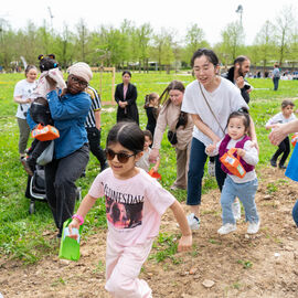 Samedi 6 avril, il n'y avait pas une mais 2 chasses aux œufs à Villejuif: la Chasse aux œufs solidaire du Secours Populaire, dans le parc des Hautes-Bruyères, avec des animations et jeux pour tous toute la journée, avec la participation de la Ludomobile.La chasse aux œufs dans le jardin partagé de la résidence Botanic Parc, un moment de rencontre et d'échanges entre voisins et de découverte du jardin pour certains. [photos Xiwen Wang / Alex Bonnemaison]