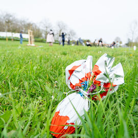 Samedi 6 avril, il n'y avait pas une mais 2 chasses aux œufs à Villejuif: la Chasse aux œufs solidaire du Secours Populaire, dans le parc des Hautes-Bruyères, avec des animations et jeux pour tous toute la journée, avec la participation de la Ludomobile.La chasse aux œufs dans le jardin partagé de la résidence Botanic Parc, un moment de rencontre et d'échanges entre voisins et de découverte du jardin pour certains. [photos Xiwen Wang / Alex Bonnemaison]