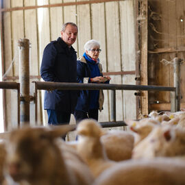 2 excursions étaient organisées pour nos seniors dans les Yvelines à la découverte à la Bergerie nationale de Rambouillet, sa ferme, ses élevages de moutons Mérinos élevés sur le site depuis 1786… Une visite agrémentée bien sûr d'un repas convivial en musique ![photos Sylvie Grima]