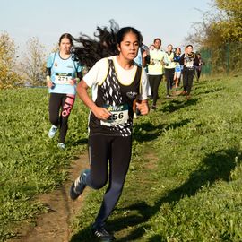 Dimanche 13 novembre, l'ASFI Villejuif Athlétisme organisait son 1er cross à destination des jeunes, au Parc Départemental des Hautes Bruyères. Pour cet évènement sportif, 17 clubs ont fait le déplacement avec plus de 500 athlètes âgé·e·s de 6 à 14 ans (catégorie Eveils à Minimes) ! [Photos Lucile Cubin]