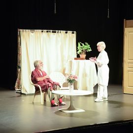 Zoom sur 2 temps forts de cette Semaine nationale des seniors: le spectacle de la compagnie de théâtre les Sans Âge, et la guinguette de clôture.