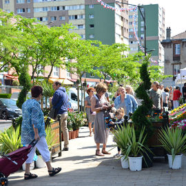 Le soleil au rendez-vous pour ce rendez-vous très apprécié des habitants, avec plus d’une trentaine de fleuristes, pépiniéristes et horticulteurs et de nombreux ateliers jardinage.