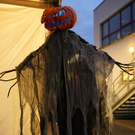 Petits monstres, savants fous, sorcières ou artistes en herbe s'en sont donnés à coeur joie pendant ces vacances d'automne. Entre ateliers, spectacles, bal, pas le temps s'ennuyer...