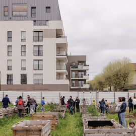 Samedi 6 avril, il n'y avait pas une mais 2 chasses aux œufs à Villejuif: la Chasse aux œufs solidaire du Secours Populaire, dans le parc des Hautes-Bruyères, avec des animations et jeux pour tous toute la journée, avec la participation de la Ludomobile.La chasse aux œufs dans le jardin partagé de la résidence Botanic Parc, un moment de rencontre et d'échanges entre voisins et de découverte du jardin pour certains. [photos Xiwen Wang / Alex Bonnemaison]