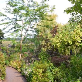 Les Seniors villejuifois à la découverte de Giverny : la fondation Claude Monet, son manoir normand et ses jardins, avant un déjeuner-dansant au Moulin de Fourges.