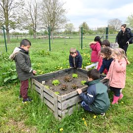 Zoom sur 3 activités enfance et jeunesse:▪️ Surf à Paris▪️ Initiation au pilotage de drones▪️ Sortie à la Ferme Pédagogique[Photos Alex Bonnemaison / Anja Simonet / Xiwen Wang]