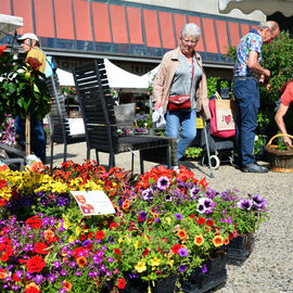 Le soleil au rendez-vous pour ce rendez-vous très apprécié des habitants, avec plus d’une trentaine de fleuristes, pépiniéristes et horticulteurs et de nombreux ateliers jardinage.