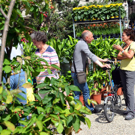 Le soleil au rendez-vous pour ce rendez-vous très apprécié des habitants, avec plus d’une trentaine de fleuristes, pépiniéristes et horticulteurs et de nombreux ateliers jardinage.