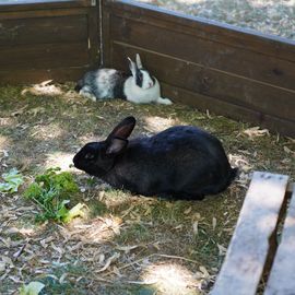 Le 1er village Villejuif respire 2022 s'est installé dans le parc des Hautes-Bruyères et dans la cité du Vercors, avec son lot d'animations et la fête du 13 juillet![Photos Lucile Cubin / Direction de la Communication]