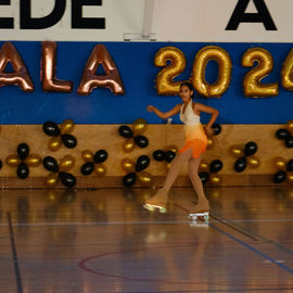 Dimanche 28 janvier, l'USV Roller Skating accueillait pour la 1ère fois ce week-end à la Halle des sports Colette Besson un gala de patinage artistique. Patineuses et patineurs de tout âge sont venus présenter, en groupe ou en solo, leurs chorégraphies sur le thème des musiques de films. [photos Sylvie Grima]