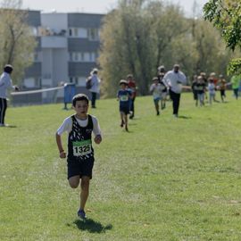 Avec près de 800 coureur·se·s et marcheur·se·s le matin et autant de jeunes et de familles l'après-midi, cette 34e édition a été de nouveau un événement sportif majeur à Villejuif et une journée de fête dans le parc des hautes-Bruyères baigné par le soleil d'automne !