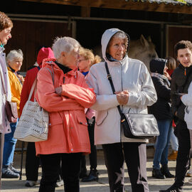2 excursions étaient organisées pour nos seniors dans les Yvelines à la découverte à la Bergerie nationale de Rambouillet, sa ferme, ses élevages de moutons Mérinos élevés sur le site depuis 1786… Une visite agrémentée bien sûr d'un repas convivial en musique ![photos Sylvie Grima]