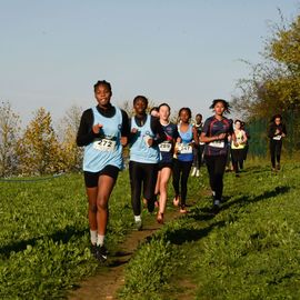 Dimanche 13 novembre, l'ASFI Villejuif Athlétisme organisait son 1er cross à destination des jeunes, au Parc Départemental des Hautes Bruyères. Pour cet évènement sportif, 17 clubs ont fait le déplacement avec plus de 500 athlètes âgé·e·s de 6 à 14 ans (catégorie Eveils à Minimes) ! [Photos Lucile Cubin]