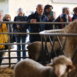2 excursions étaient organisées pour nos seniors dans les Yvelines à la découverte à la Bergerie nationale de Rambouillet, sa ferme, ses élevages de moutons Mérinos élevés sur le site depuis 1786… Une visite agrémentée bien sûr d'un repas convivial en musique ![photos Sylvie Grima]