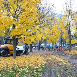 De l'automne 2021 au printemps 2022 le Parc Pablo Neruda va être complètement transformé: moins de béton, plus de verdure, des jeux modernisés...