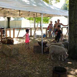 Le 1er village Villejuif respire 2022 s'est installé dans le parc des Hautes-Bruyères et dans la cité du Vercors, avec son lot d'animations et la fête du 13 juillet![Photos Lucile Cubin / Direction de la Communication]