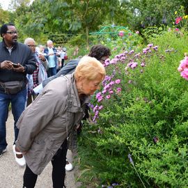 Les Seniors villejuifois à la découverte de Giverny : la fondation Claude Monet, son manoir normand et ses jardins, avant un déjeuner-dansant au Moulin de Fourges.