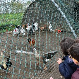 Zoom sur 3 activités enfance et jeunesse:▪️ Surf à Paris▪️ Initiation au pilotage de drones▪️ Sortie à la Ferme Pédagogique[Photos Alex Bonnemaison / Anja Simonet / Xiwen Wang]