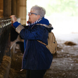 2 excursions étaient organisées pour nos seniors dans les Yvelines à la découverte à la Bergerie nationale de Rambouillet, sa ferme, ses élevages de moutons Mérinos élevés sur le site depuis 1786… Une visite agrémentée bien sûr d'un repas convivial en musique ![photos Sylvie Grima]
