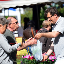 Le soleil au rendez-vous pour ce rendez-vous très apprécié des habitants, avec plus d’une trentaine de fleuristes, pépiniéristes et horticulteurs et de nombreux ateliers jardinage.