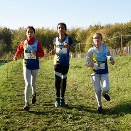 Dimanche 13 novembre, l'ASFI Villejuif Athlétisme organisait son 1er cross à destination des jeunes, au Parc Départemental des Hautes Bruyères. Pour cet évènement sportif, 17 clubs ont fait le déplacement avec plus de 500 athlètes âgé·e·s de 6 à 14 ans (catégorie Eveils à Minimes) ! [Photos Lucile Cubin]