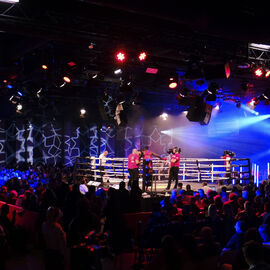 Déjà la 6e édition du Villejuif Boxing Show. Une soirée de qualité cette année encore avec des combats de haut niveau national et international en boxe anglaise et boxe pieds-poings. [photos Sylvie Grima / Lucile Cubin]