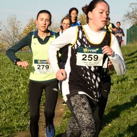 Dimanche 13 novembre, l'ASFI Villejuif Athlétisme organisait son 1er cross à destination des jeunes, au Parc Départemental des Hautes Bruyères. Pour cet évènement sportif, 17 clubs ont fait le déplacement avec plus de 500 athlètes âgé·e·s de 6 à 14 ans (catégorie Eveils à Minimes) ! [Photos Lucile Cubin]