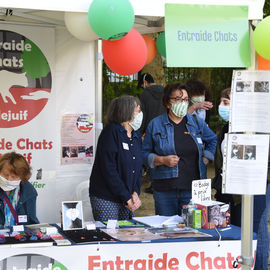 A la rencontre des associations qui vont vivre notre ville avec de nombreuses démonstrations et initiations tout au long de la journée.