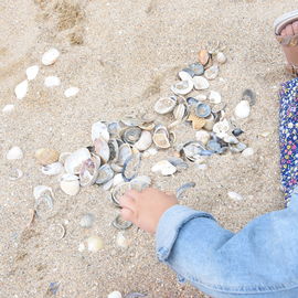 Avec l'opération "Villejuif à seulement 4,30€ de la mer", des centaines de Villejuifois peuvent bénéficier d'une sortie à la journée en bord de mer.