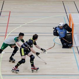 Sacrés champions de France de Nationale 2 lors du dernier match de la saison, les joueurs de l'USV Roller - Rink-Hockeymontent en Nationale 1 – Elite ![Photos Alex Bonnemaison]