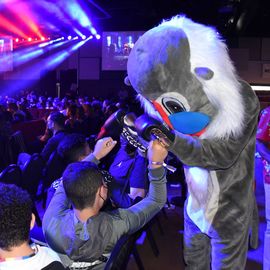 Revivez en images cette 3e édition du prestigieux gala de boxe, du ring aux coulisses.